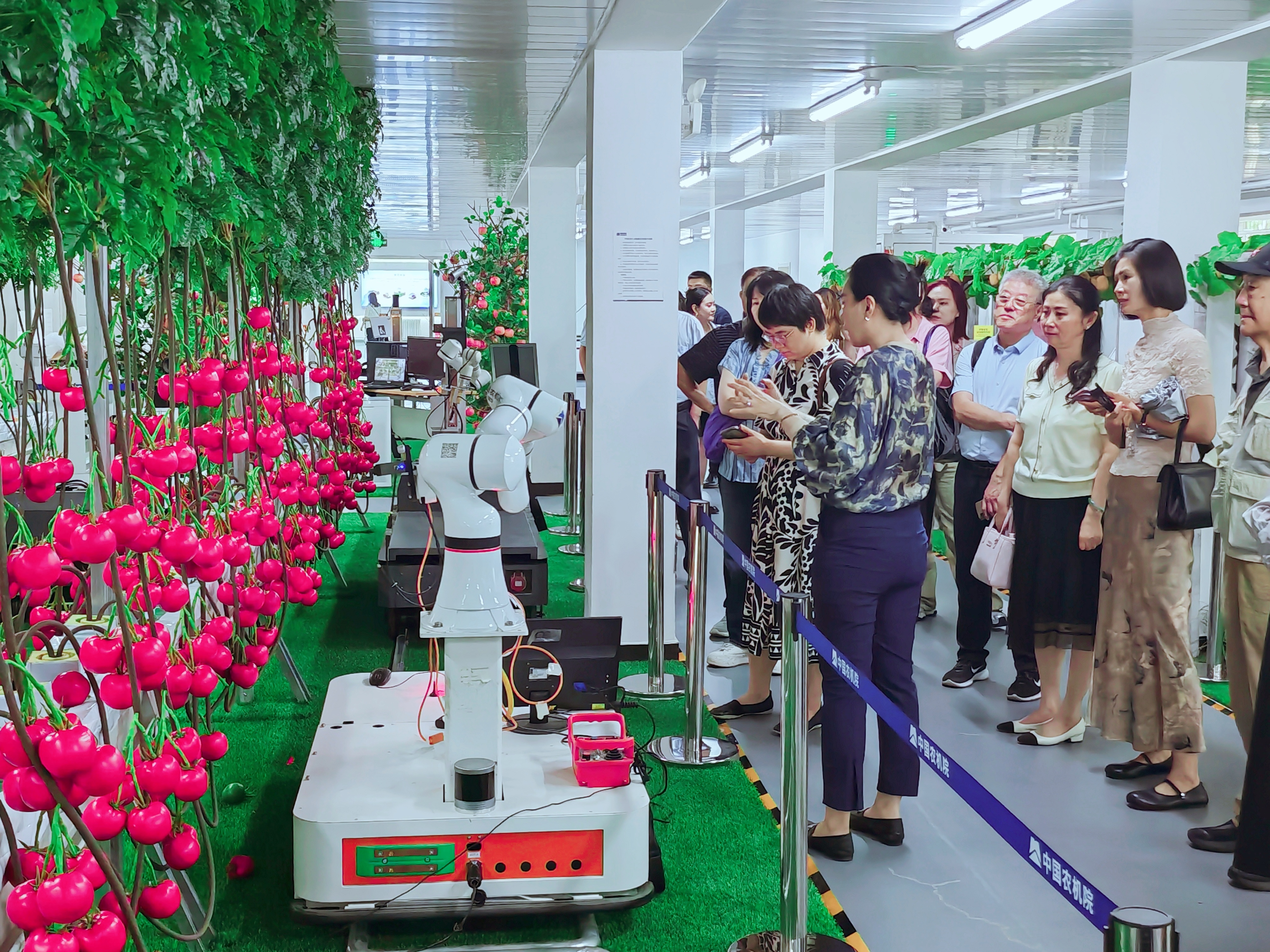 pg国际-不凡成就非凡,相信品牌的力量